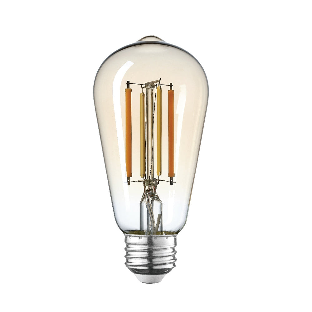 Ampoule DEL Intelligente Vintage ST19 5.5W